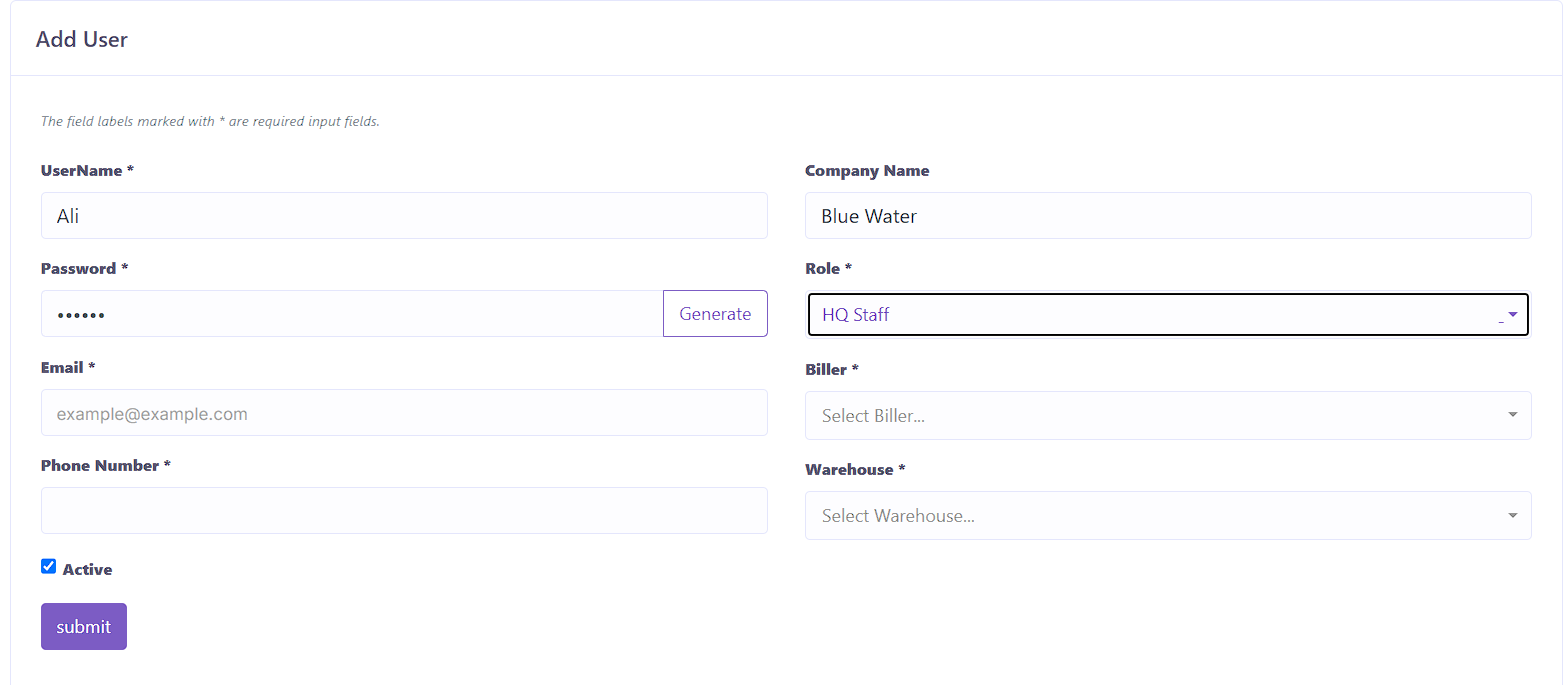 HQ Staff/Accounts/POS Form View